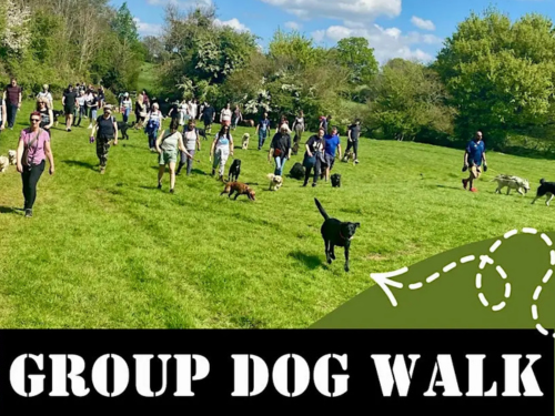 Group Dog Walk with Tails On The Trails