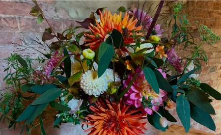 Pop-up with Flora & Fauna