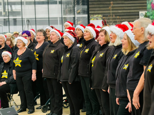 Rock Choir at Lock29